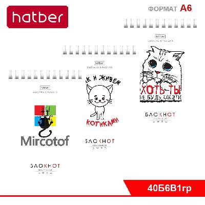 Блокнот 40л А6ф клетка Обл. мел.картон УФ-лак на гребне 6 дизайнов в блоке серия -Муркомания-