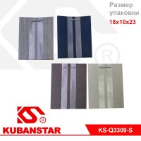 Пакет подарочный "Полосы" 18*10*23 цвета в ассортименте