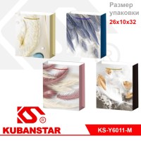 Пакет подарочный "Перышко" 26*10*32 цвета в ассортименте