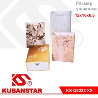 Пакет подарочный "Кленовый лист" 12*16*6,5 цвета в ассортименте