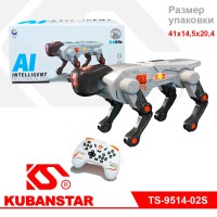 Ok000001919_1
