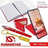 Ежедневник с ручкой и флешкой в подарочной коробке красный